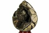 Septarian Dragon Egg Geode - Black Crystals #110876-3